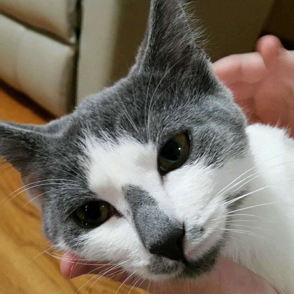 Meet your Posher, Michele